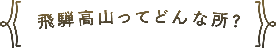 飛騨高山ってどんな所?
